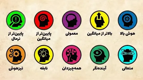💬از کم‌هوش تا نابغه: تمام سطوح هوش در ۱۱ دقیقه #هوش  #ترند  #فکت  #جالب  #دانستنی 