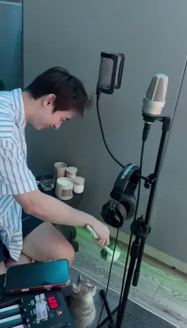 Hết chó tới mèo 😂 con nào cũng thích Ki Bông thế nhỉ ??? 😍#CONGB 