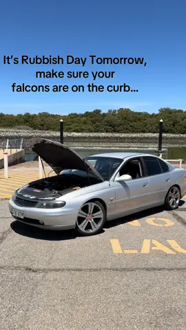 No need to pick sides, respect all builds #ford #holden #commodore #calais #g6e