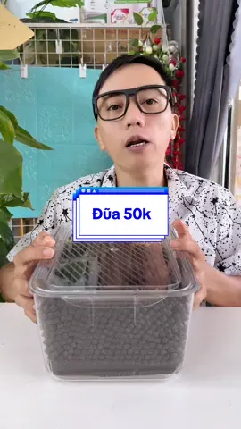 Trả lời @kkkhhg01 COMBO ĐŨA 50k #dua #duanhua #duamavanghopkim #anamlun #xuhuong 