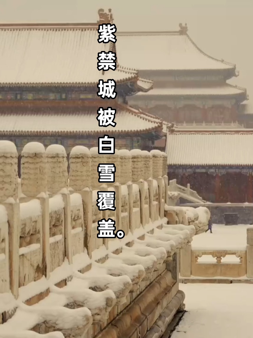___❄️🧣☃️北京的紫禁城披上纯白的雪衣，在冬日里宛如一幅浪漫的古画缓缓展现。❄️ Tử Cấm Thành , Bắc Kinh Khoác lên mình Tấm áo Tuyết Trắng tinh Khôi , Hện ra Như một Bức tranh Cổ Lãng Mạn giữa Mùa đông ___☃️❄️🧣 👉 How does this snowy scene make you feel ??? Comment your thoughts ❤ __________________° #Beijing  #中国旅行  #HistoricPlaces  #Trungchina  #fypviraltiktok🖤シ゚☆♡ 