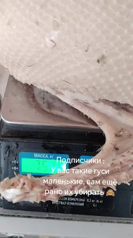 Хорошие гусики выросли 🤗
