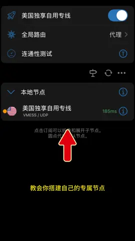 教你搭建独享节点