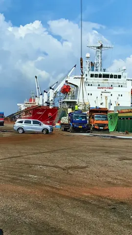 BONGKAR MUAT KARGO CURAH DI DERMAGA PELINDO || Kapal Kargo Bersandar di Pelabuhan Dumai #dumai #riau #malacca #malaysia #portdickson 