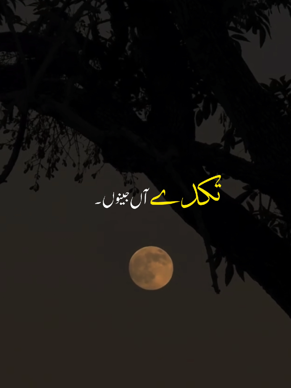 Ishaqa Ve - 🥺💔 | Repost Request |~  #bollywoodsong #songs #videosad #sadsong #fyp 