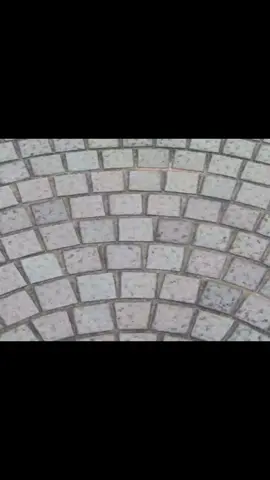 “paving” animated by よしながき  song: “What else did he do?” by fat, evil children #animation #美術 #experimentalanimation #altrock #countryrock 