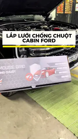 Lắp lưới chống chuột Cabin cho xe Ford Ranger/Everest #BambooAuto #Retrofit #ford #service 