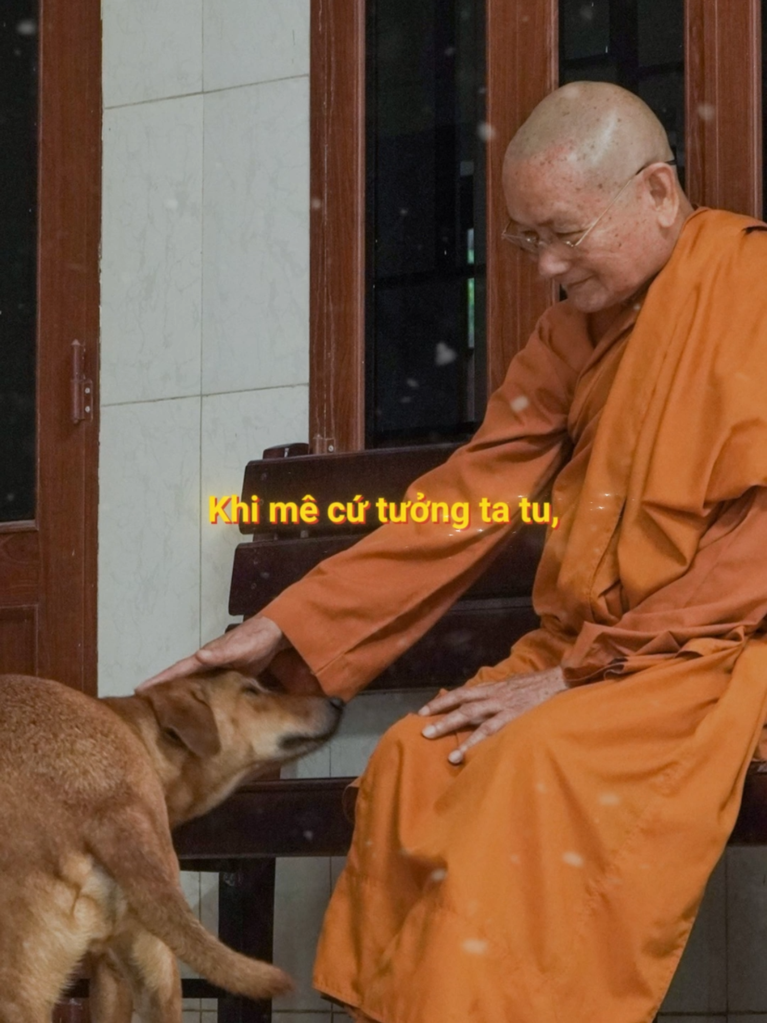 Khi Mê Cứ Tưởng Ta Tu, Tỉnh Ra Mới Biết Pháp Tu Cho Mình #phatphap #htvienminh #trietlycuocsong