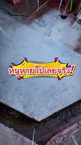 ยาเบื่อหนูใส่ถาดวางไว้แป๊บเดียวหายเกือบหมดหนูไม่โผล่อีกเลยตัวนี้มีกลิ่นผลไม้ล่อหนูได้ผลมาก#ของใช้ในบ้าน #คอนเทนต์ปังอัพยอด #TikTokShopMallบอกต่อ #คลิปนี้ต้องฟีด #ของใช้ประจำวัน 