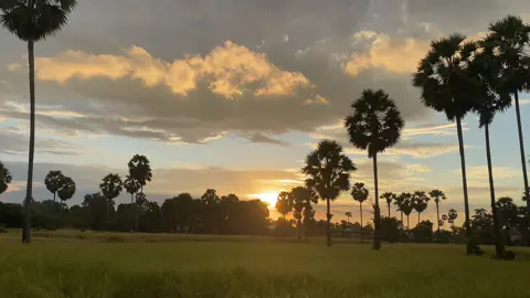 ទេសភាពវាលស្រែ ពេលថ្ងៃលិច🌾🌿🌇#foryou #កំពង់ឆ្នាំងផ្ទះខ្ញុំ♡🥰 