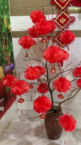 Combo 30/50/100 chiếc đèn lòng tổ ong màu đỏ trang trí tết , kể hội #denlongtrangtritet2026 #chatlieunilong #màudosacnet #depxinhlunglinh #tuetgiadung70 #xuhuong @Đồ Trang Trí Tết 2026 @MỌT STORE  @Thuý An Đồ Bộ Xinh 