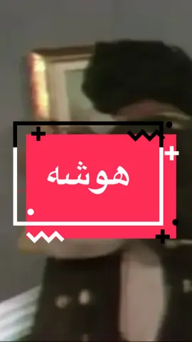 #tomato_tv_75 #عبدالعزيز_النمش #ام_عليوي #العيدروسي #الركاده_زينه 