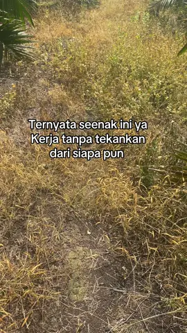 #harusfyp #storywa #tokesawit #pengusahasawit #kalteng #harusfyppokonya 