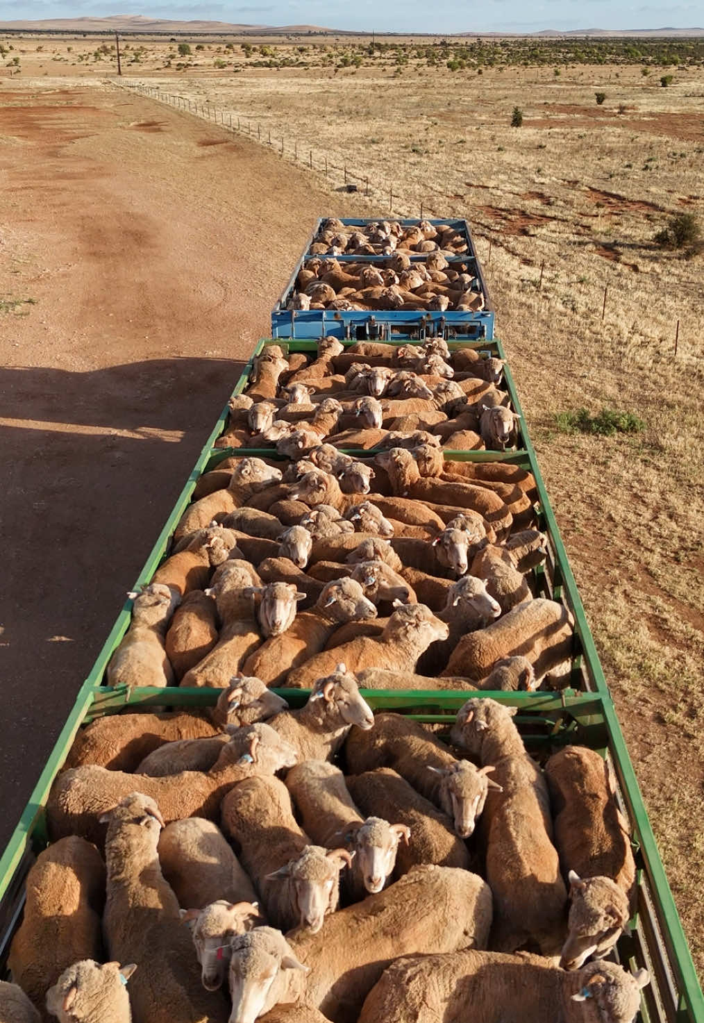 #djimini4pro #sheep #farming #outbackaustralia #trucking 