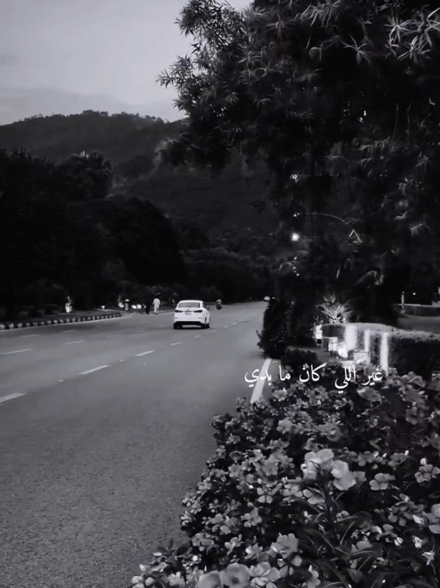 عجبين الليل 🌃                                                 #song #song_love69 #music #trending #foryou 