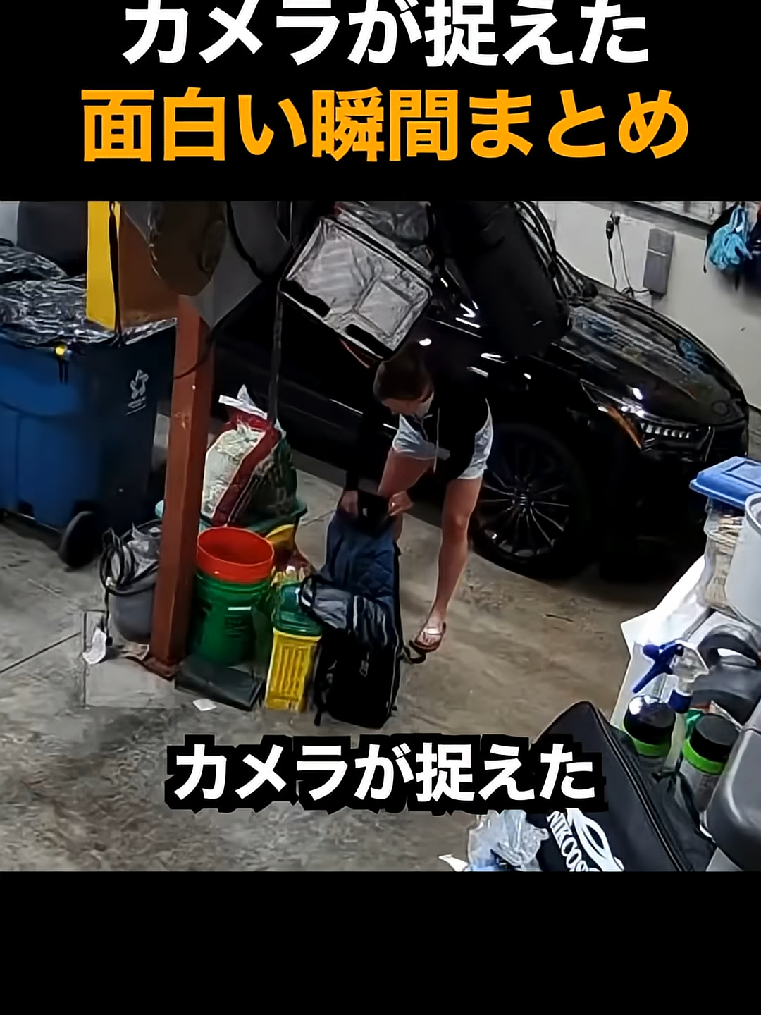 カメラが捉えた面白い瞬間まとめ😂 #ayI-szqeYoY