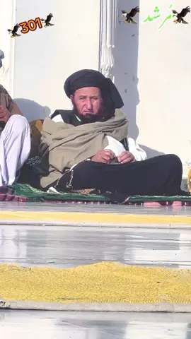 پیر ؤ مُرشد حضرت اقدس حضرت مولانا مفتی مختا ر و دین شاہ صاحب ایک خوش گوار موڈ مِیں #🦅🦅🦅 #foryou #foryoupage #growmyaccount #unfrezzmyaccount 
