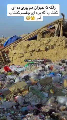 #afghanistan🇦🇫 #tiktok_viral #tiktok_fyp 