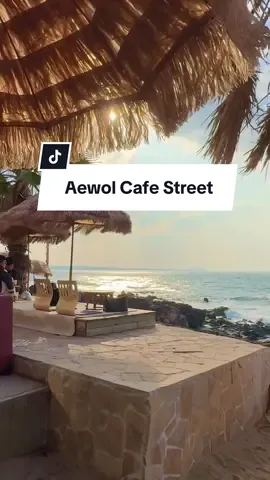 Best combo, cold + sunny with lots of vitamin sea 📍Aewol Cafe Street, Jeju. Best place to escape from the cold winter in Seoul or the humid in Sg #jejucafe #haejigaecafe #koreatravel #jejuwinter #sgtravel 