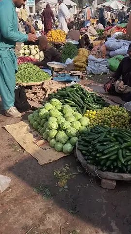 Vegetables Become Cheap | Sabzi Mandi Gojra | 08 December 2025 | Punjab Fresh vegetable Prices   Vegetables Become Cheap | Sabzi Mandi Gojra | 08 December Malik Zubair Gojra Mandi Alay Gojra2025 | Punjab Fresh vegetables Prices  sabzi Mandi Disst Toba Tek Singh Pakistan  So Friiends subscribe my channel for Daily Sabzi Fruit Update pakistan vegetable price today pakistan sabji mandi rate today sabzi mandi islamabad vegetable price in pakistan today ‌Sabzi mandi Pakistan  ‌Sabzi mandi karachi today Sabji Mandi New Delhi  Modern agriculture, Fruits and vegetables, Vegetables Name, Sabzi mandi Karachi, Fruits market Karachi, ‌#vegetables #fruits #sabzimandi #promogranate #orange          Attention:: All Contents & Footages Are Copyrights Of Malik Zubair Gojra Mandi Alay   Any illegal Or Un-Authorize Use Of Contents & Footages Without Permission Is Strictly Prohibited
