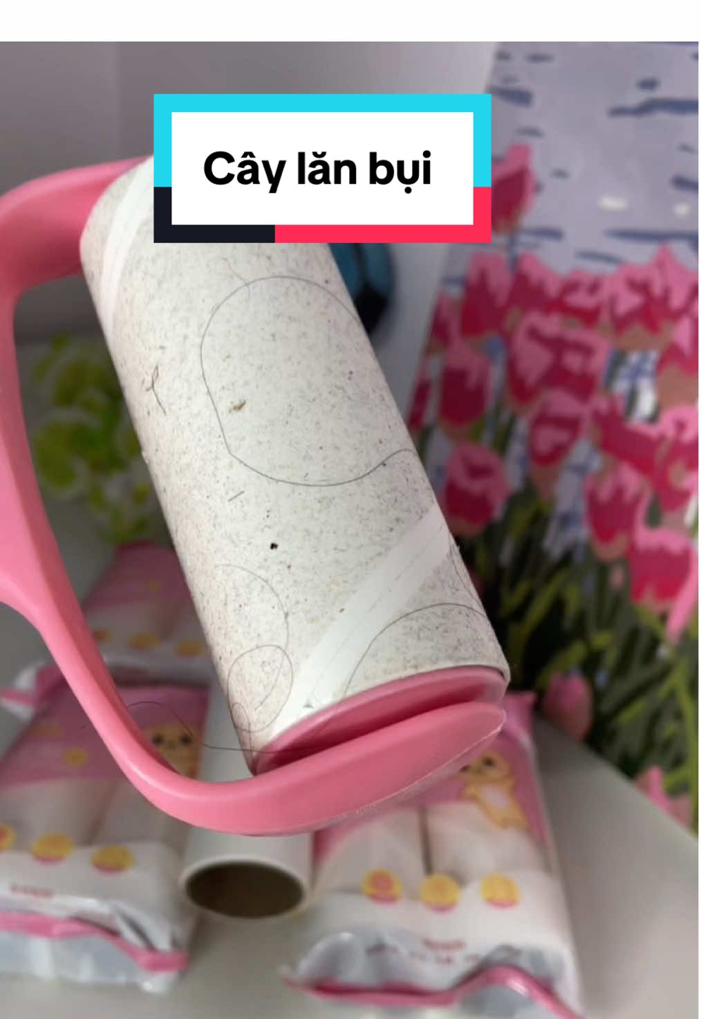 Cây lăn bụi giá hạt rẻ 🌰#xuhuong #caylanbui #caylanbuiquanao #caylanbuidanang #caylanbuigagiuong 
