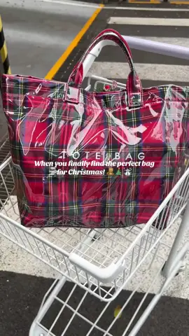 When you finally find the perfect bag for Christmas! 🧸🎄☃️#christmas #totebag #bag #christmasbag #fashiontiktok 