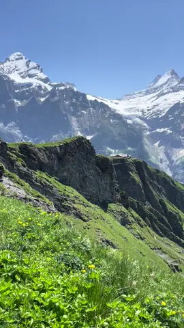 #vibe #nature #view #travel