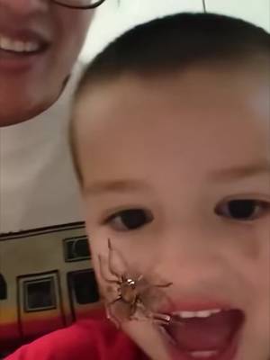 Create video with bug on face prank!
