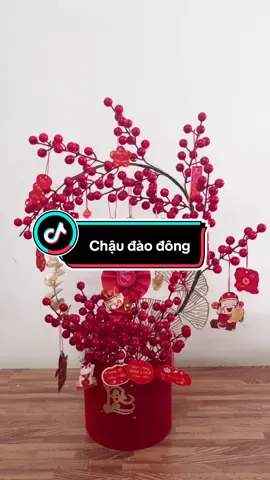 Chậu đào đông đón tết #decortet #trangtritet #tet2026 #viral #xuhuong 