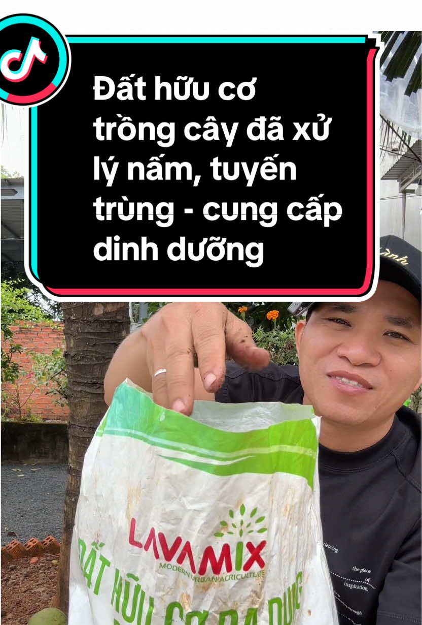 Đất hữu cơ trồng cây đã xử lý nấm, tuyến trùng - cung cấp dinh dưỡng #thanh47sansale #dattrongcay #dathuuco #dathuucotrongcay 