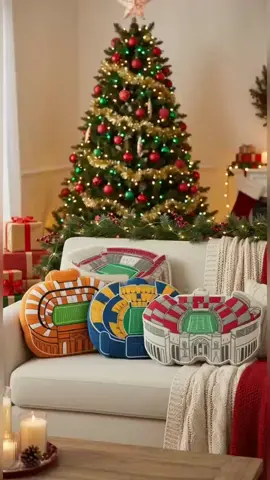 Stadium Pillow For Football Lover！