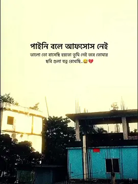 পাইনি বলে আফসোস নেই ভালো তো বেসেছি হয়তো তুমি নেই তবে তোমার ছবিগুলো যত্নে রেখেছি..!! ❤️‍🩹#foryou #trending #vairal #caption #video 