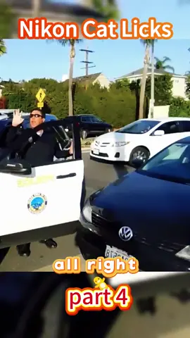 #auditr #police #fyp 