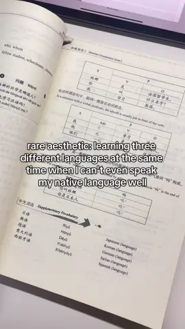 the urge to become a polyglot 😔 #LanguageLearning #chinese #studytok #viral #fyp 