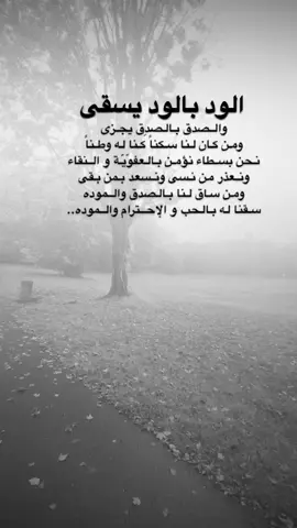 #اقتباسات من الحياة ، الود بالود يسقى والصدق بالصدِق يجزى ومن كان لنا سكناً كنا له وطناً نحن بسطاء نؤمن بالعفوّيّة و النقاء ونعذر من نسى ونسعد بمن بقى ومن ساق لنا بالصدق والموده سقنا له بالحب و الإحترام والموده..#كلمات_من_القلب #اكسبلورexplore #saasa88 #fypシ 