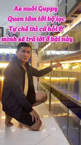 Vui vẻ mỗi ngày 😁#choivietbetta #trangtraicacanh #mienbac #guppy 