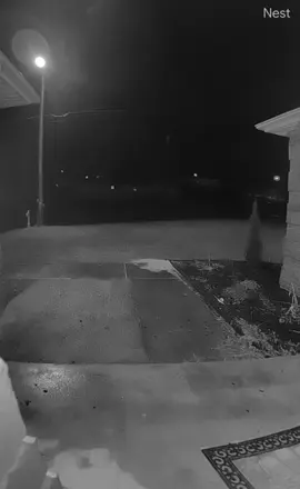 Shopping time! @Olivia 💃 