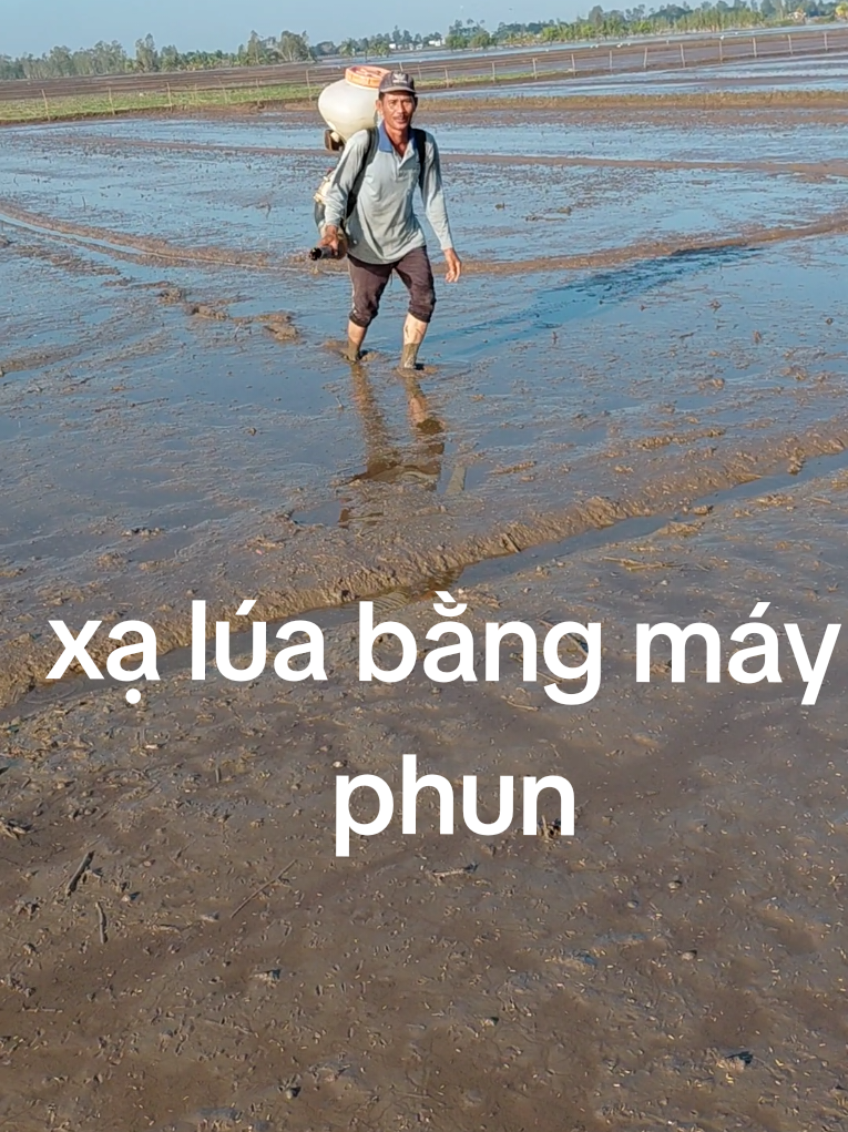 xạ lúa bằng máy phun #thuynguyen.i#cuocsongdungque #xuhungtittok #nongthonvietnam #mientayquetoi 