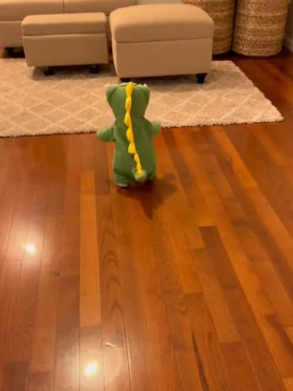cat in dino costume #cats #fpy #fpyシ #moments 