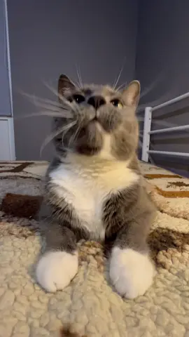 Доброй ночи! 😴