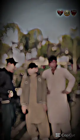 @Sheraz_live @sherazamkhan.official @Crick Pathan456🔥❓🇵🇰🦂🦂🦂 #fypage #viraltiktok 👊