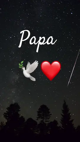 Papa tu me manque #papa #deces #tumemanque 