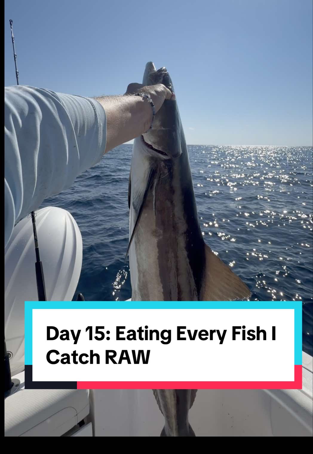 Day 15: Eating every fish I catch RAW #fishing #fishtok #catchandcook #fish #floridafishing