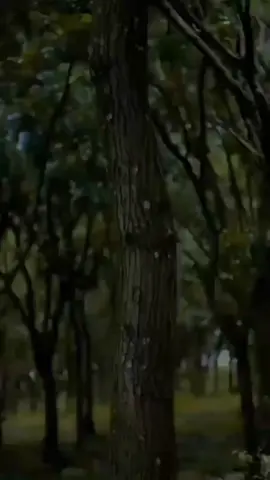 aku sudah berusaha semaksimal mungkin, semua perjuanganku tidak di anggap.