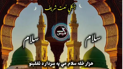 سلام هزار ځله سلام مي په سردار د ثقلينو ❤️‍🩹🫀❤️‍🩹 #trendingnow #muhammad #جمعه_مباركه #محمد_رسول_الله  #پشتون_تاجیک_هزاره_ازبیک_یک_ملت_افغانستان 