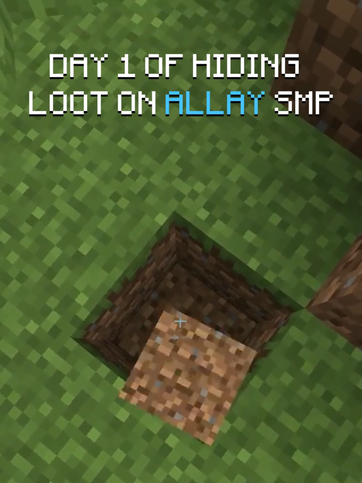 Best cracked server. IP: Allaysmp.com #donutsmp #fyp #Minecraft #media #viral #allaysmp