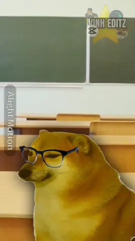 Đi hc khê lắm 😭| lần đầu edit bằng Alight Motion nên chx quen (cre: Vanhsus, PMSondepzai, Meta_anisloxg7) #memes #cheems