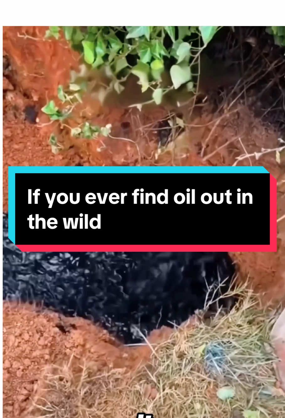 If you ever find oil out in the wild#oil #fyp #foryoupage #usa🇺🇸 