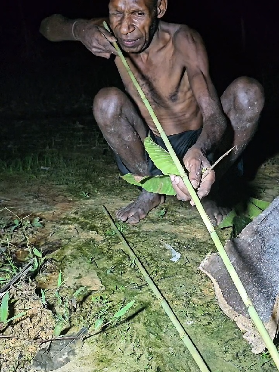 Papua Arrow 🏹🌿 #skills #traditional #papua #tribe 