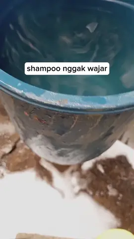 emang bener bener nih shampoo gess #cucisalju #cucimobil #cucimotor #shampoocucimotor #shampoocucimobil 